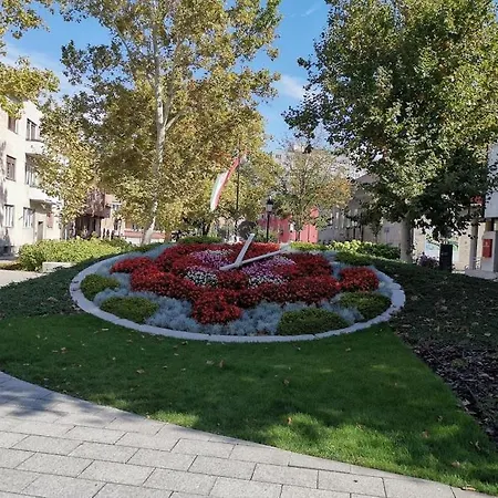 Patrikapartman *